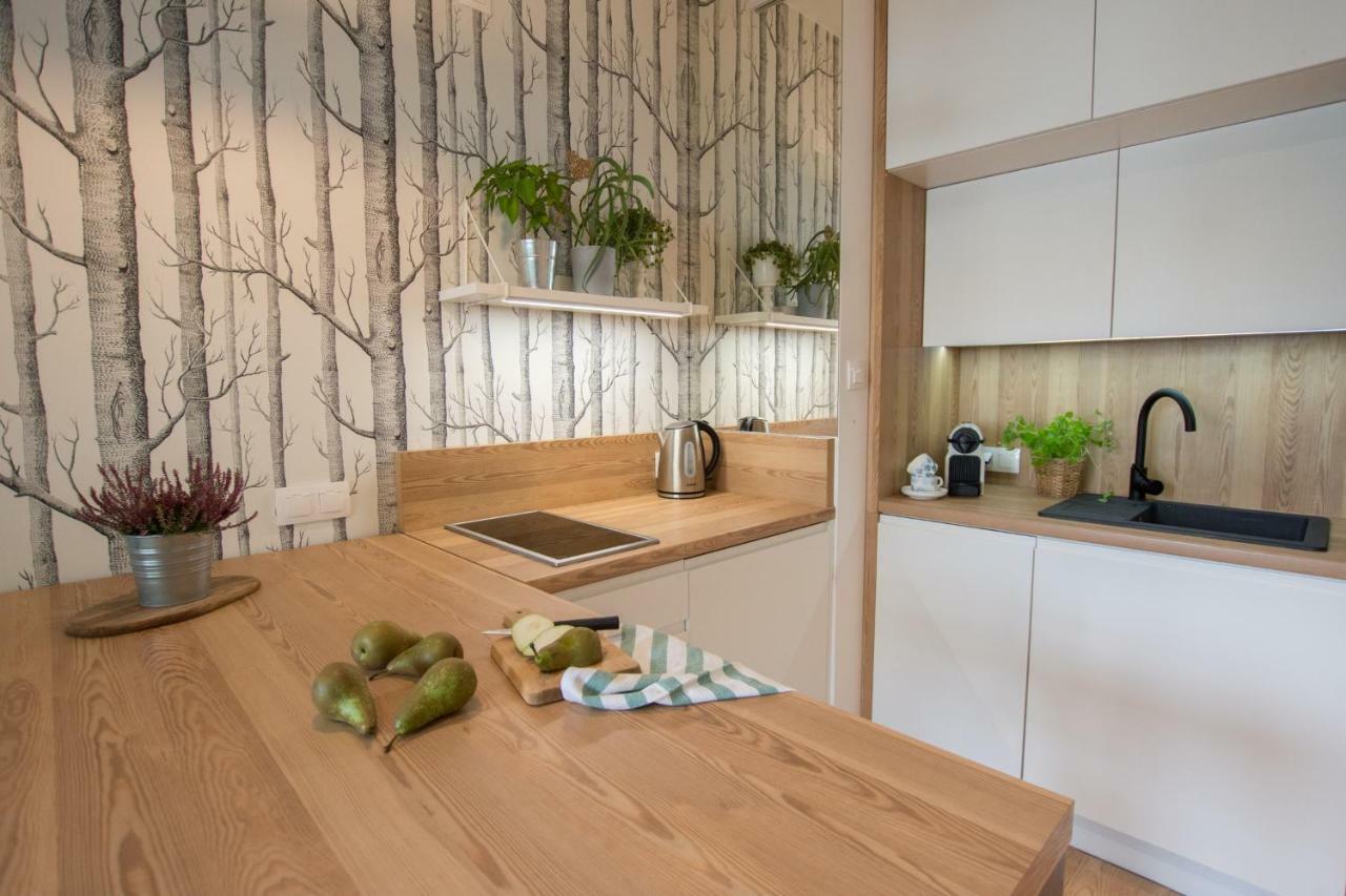 Rakowicka Apartment 克拉科夫 外观 照片